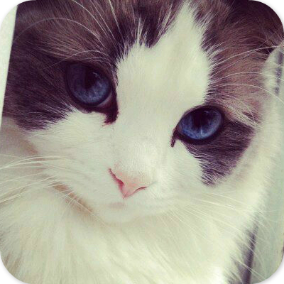 My Profile Photo